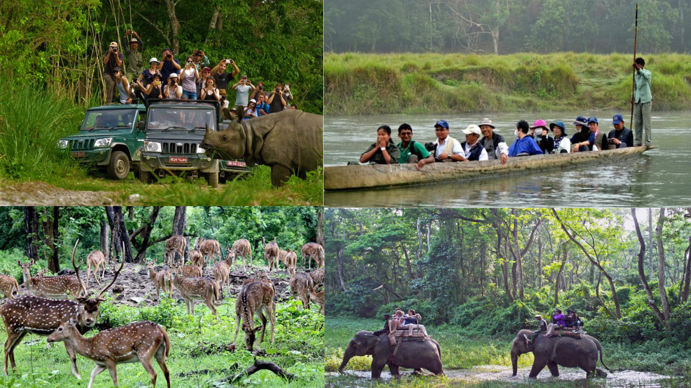 Chitwan National Park: Wildlife, Safaris, and More