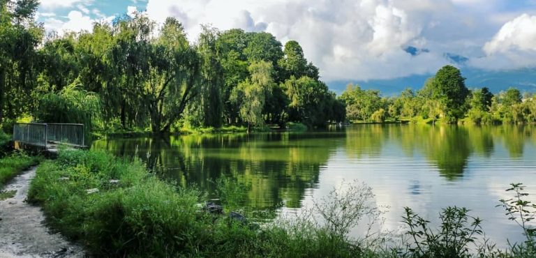 bulbule taal surkhet